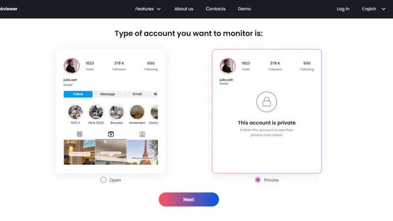 Using Peekviewer to save private Instagram content. Choose the profile type (public or private) and confirm.
