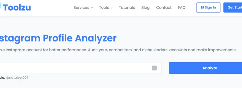 Toolzu review: Instagram profile analyzer