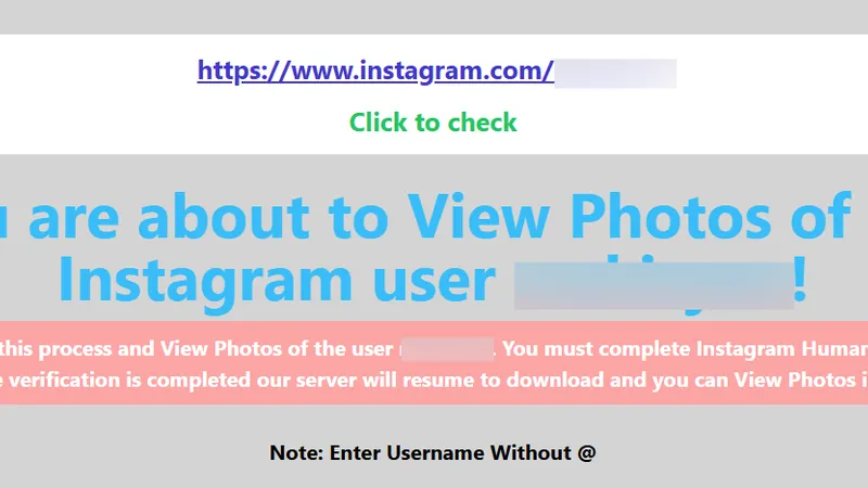 How Instalooker Works Step 3 – by Private Instagram Viewer Free