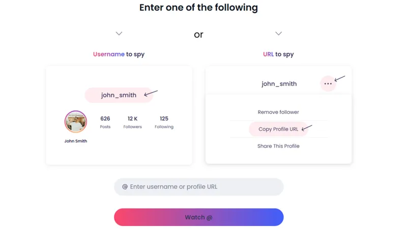 Using Peekviewer to save private Instagram content. Enter the Instagram username or profile link of the account.