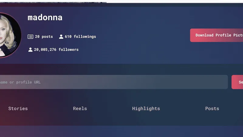 Instagram Viewer Stealthgram: How it works