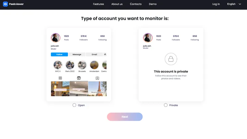 How to use Peekviewer Instagram like viewer: choosing account type