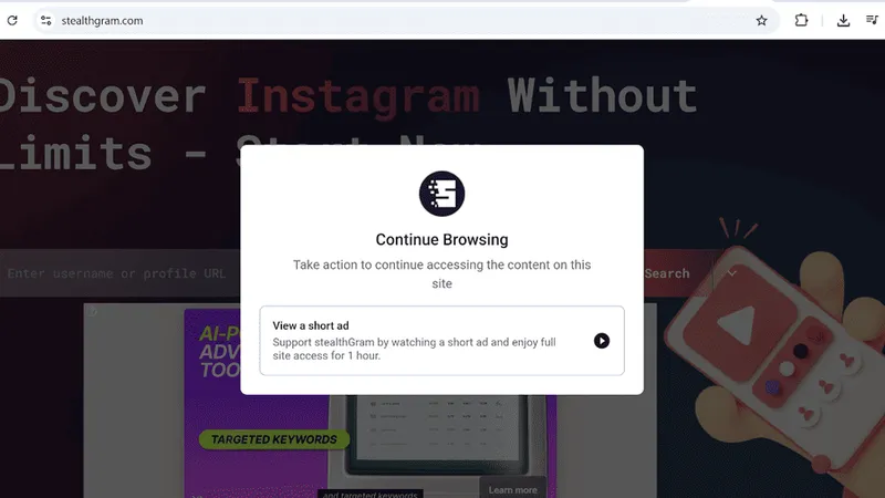 Instagram Viewer Stealthgram: How it works