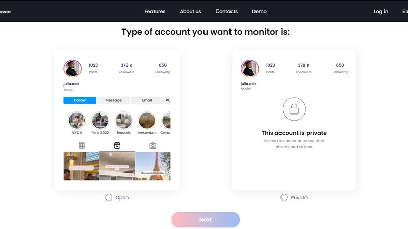 How to Use Peekviewer Blocked Instagram Account Viewer - choose account type