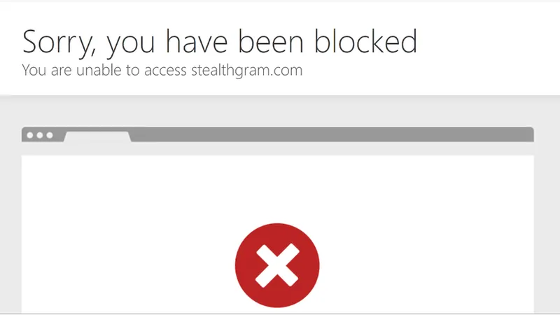 Screenshot showing a message or warning on StealthGram saying the user has been blocked after trying to download content