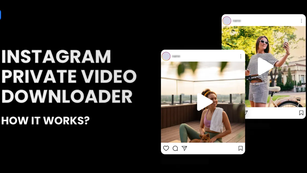 Instagram private story downloader