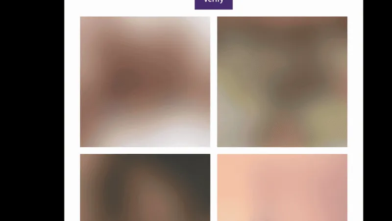 How does PrivatePhotoViewer really work? Human verification