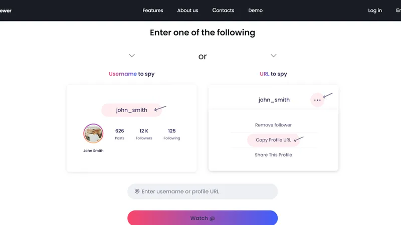 How to Use Peekviewer Blocked Instagram Account Viewer - enter username or url
