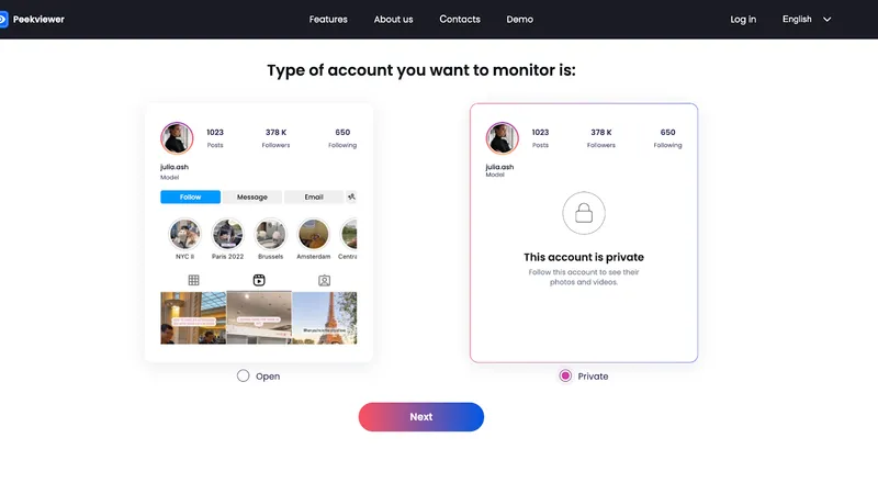 How to use Peekviewer: choosing IG account type