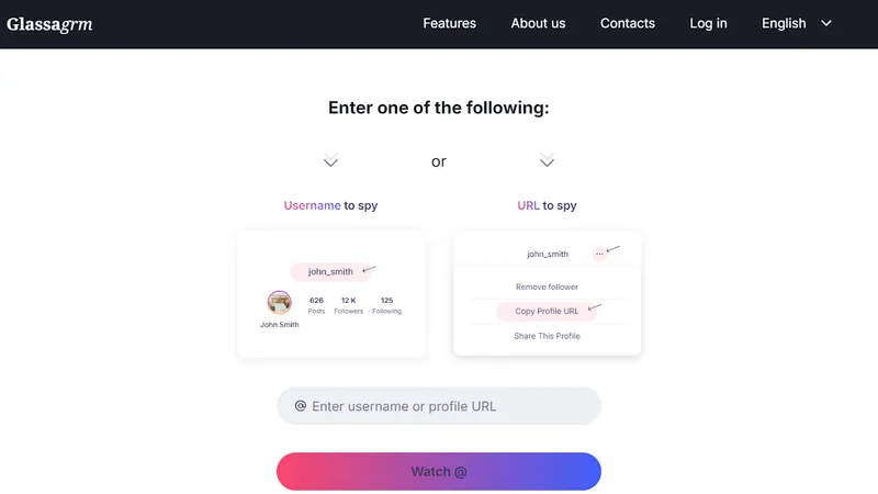enter the username of account - step-by-step guide how to use Peekviewer