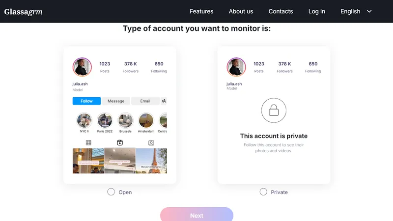 choose the type of account - step-by-step guide how to use Peekviewer
