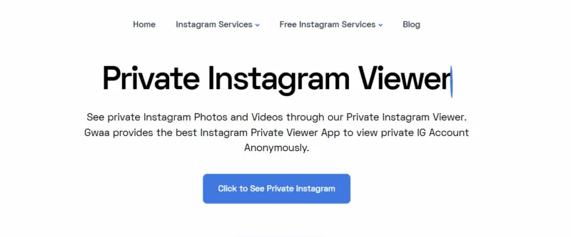 Gwaa Instagram viewer and its performance