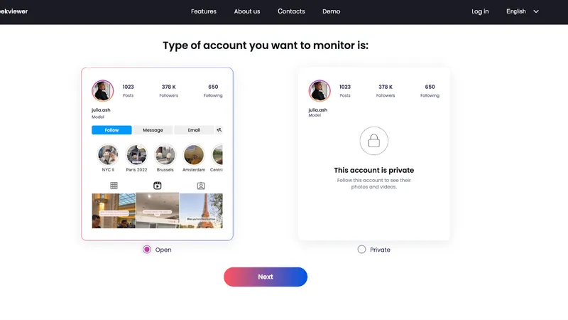 How to use Peekviewer: choosing IG account type